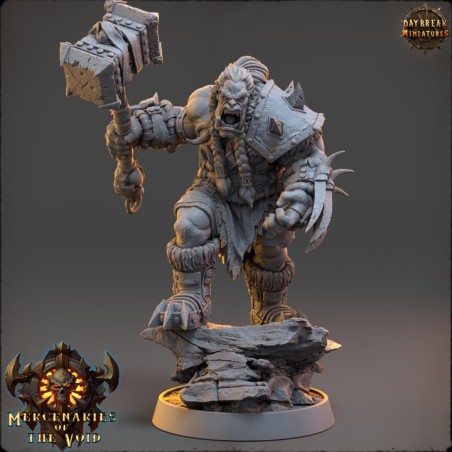 Orcs - Mercenaries of the Void - COMPLETE PACK