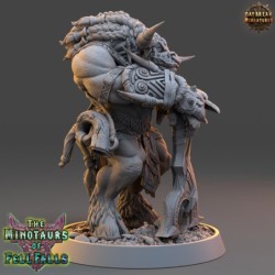 King Aristemnes Gracci - The Minotaurs of Fell Falls 2