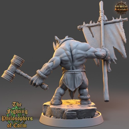 Patro Steadfast - The Fighting Philosophers of Corm