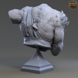 Ork aa Grim - BUST 2