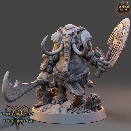 Joomini Zickert - The Oliphants of Red Ridge