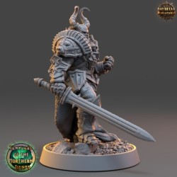 Anton Overmars Judge Of the Suns  - Templars of the Northern Lights 2