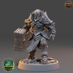 Carl Saturno - Hammer of Aidin - Templars of the Northern Lights