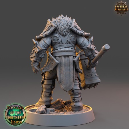 Carl Saturno - Hammer of Aidin - Templars of the Northern Lights
