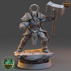 Ove Stonecold - Templars of the Northern Lights