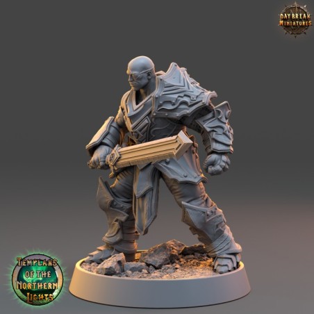 Franke Gothmorg - Templars of the Northern Lights