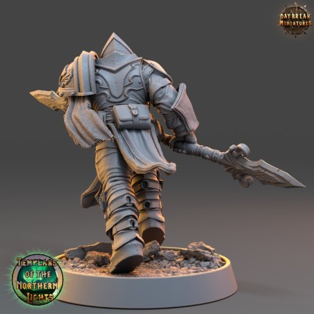 Sverker Icebrand - Templars of the Northern Lights