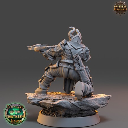 Erland Bloodwagon - Templars of the Northern Lights