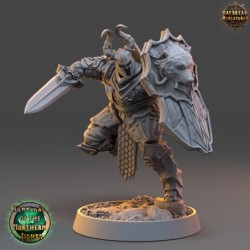 Johan Firepine - Templars of the Northern Lights