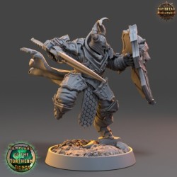 Johan Firepine - Templars of the Northern Lights 2