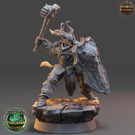 Templars of the Northern Lights - COMPLETE PACK