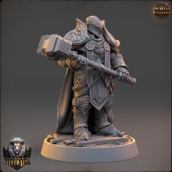 Chlodvig du Marteau Lourd - The Paladins of The Silver Lion 2