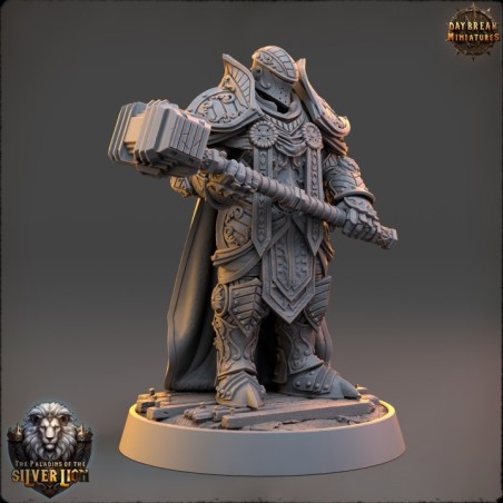 Chlodvig du Marteau Lourd - The Paladins of The Silver Lion