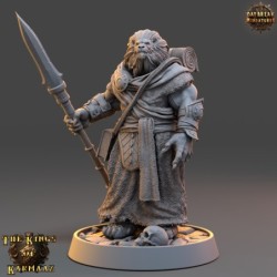 King Wayfarer - Kings of Karmaaz