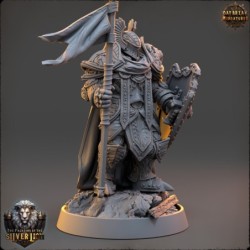 Colonel Thierry du Lion d'Argent - The Paladins of The Silver Lion 2