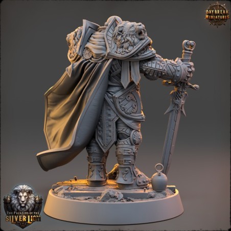 Erasmus du Tranchant - The Paladins of The Silver Lion