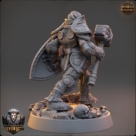 Isabelle Du Lion d'Argent - The Paladins of The Silver Lion