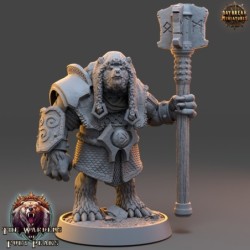 Basher Cree - The Wardens of Fury Peaks
