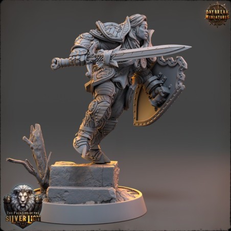 Marie du Lion d'Argent - The Paladins of The Silver Lion