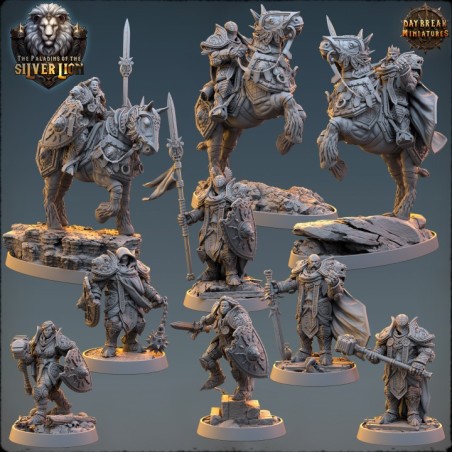 The Paladins of The Silver Lion - COMPLETE PACK