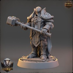 The Paladins of The Silver Lion - COMPLETE PACK 2