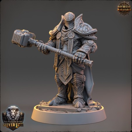 The Paladins of The Silver Lion - COMPLETE PACK
