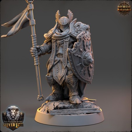 The Paladins of The Silver Lion - COMPLETE PACK