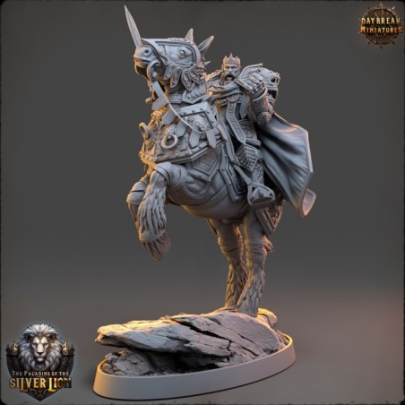 The Paladins of The Silver Lion - COMPLETE PACK