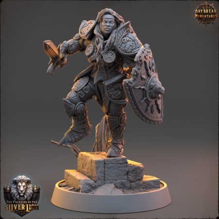 The Paladins of The Silver Lion - COMPLETE PACK