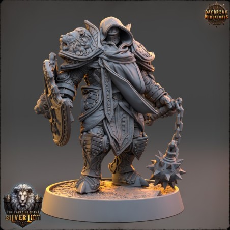 The Paladins of The Silver Lion - COMPLETE PACK