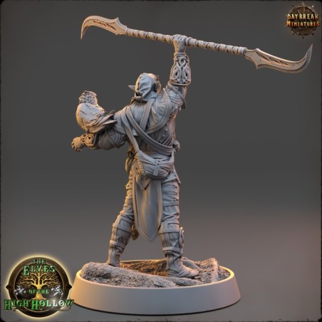 Arren Klooser - The Elves of the High Hollow