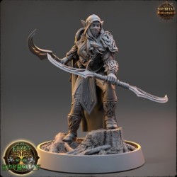Deitin the Whisperer - The Elves of the High Hollow