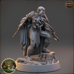 Deitin the Whisperer - The Elves of the High Hollow 2
