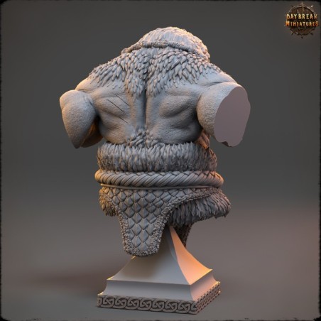 Carnag Angman - Bust