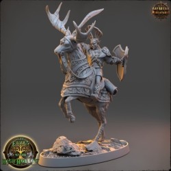 Faeren the Farseeing - The Elves of the High Hollow 2