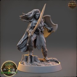 Merlo Kataa - The Elves of the High Hollow