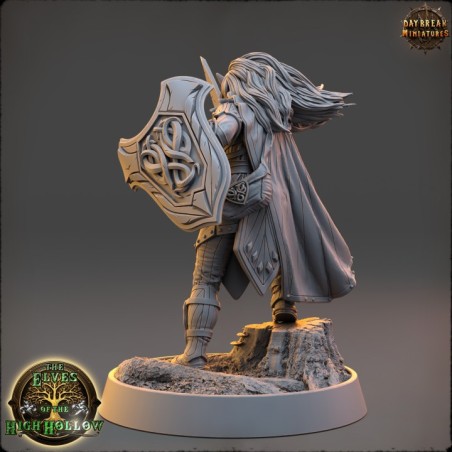 Merlo Kataa - The Elves of the High Hollow