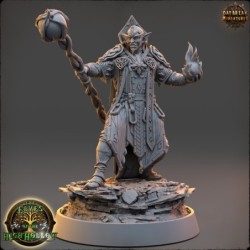 Soone Thaar, the Chooser of Words - The Elves of the High Hollow