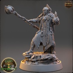 Soone Thaar, the Chooser of Words - The Elves of the High Hollow 2