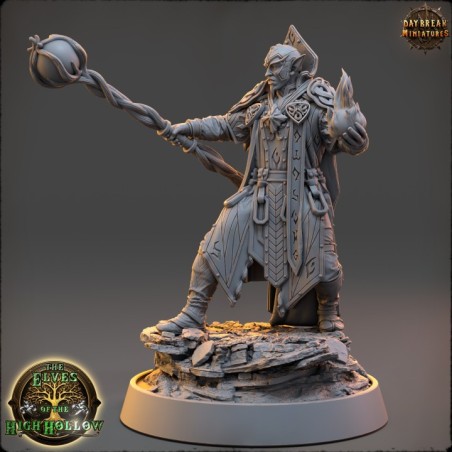 Soone Thaar, the Chooser of Words - The Elves of the High Hollow