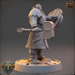 Sir Taphis Nightscorch - The Protectors of the Cleansing Fire 2