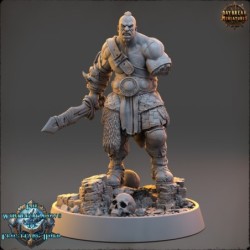 Gunnolf Ironjaw - The Wintershadows of Frostfang Hold