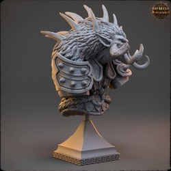 Jolan Frak - BUST 2