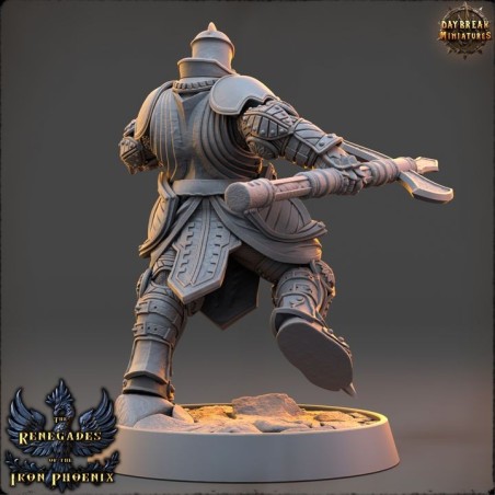 Hugues du Loup Solitaire - The Renegades of the Iron Phoenix