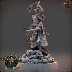 The Wither Monk of Tainted Moor - The Fallen Camaradas of Tainted Moor 2