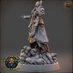 The Deathpriest of Tainted Moor - The Fallen Camaradas of Tainted Moor 2