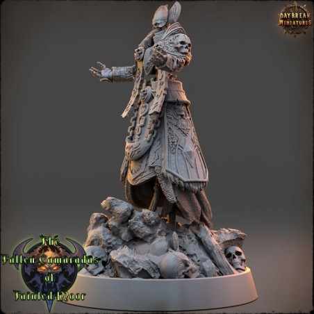 The Deathpriest of Tainted Moor - The Fallen Camaradas of Tainted Moor