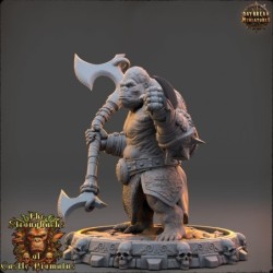 Balor Emryn - The Strongbacks of Castle Primatus 2
