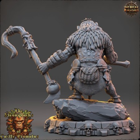 Brak Stormar - The Strongbacks of Castle Primatus