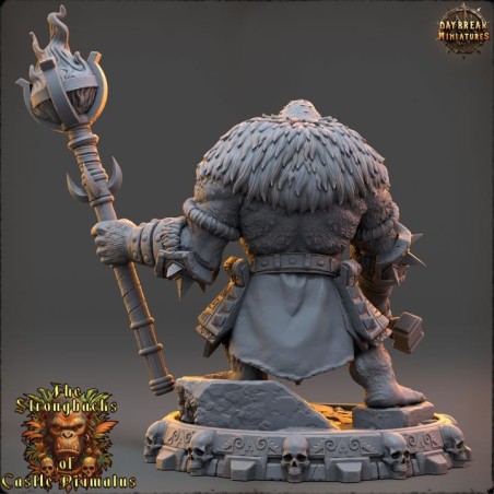 Varn Shadak - The Strongbacks of Castle Primatus